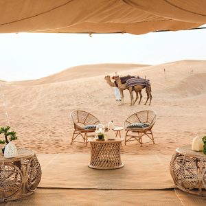 Sonara Camp Camel riding