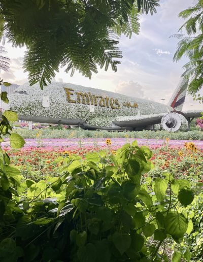 Miracle_Garden