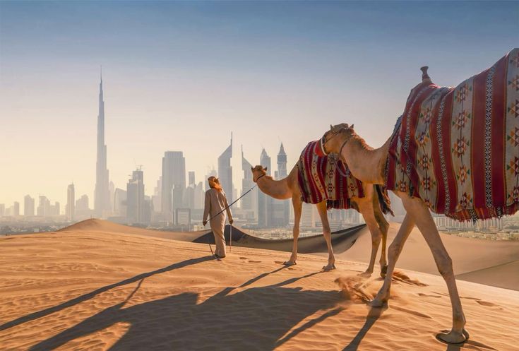 Entre tradition et modernité Dubai